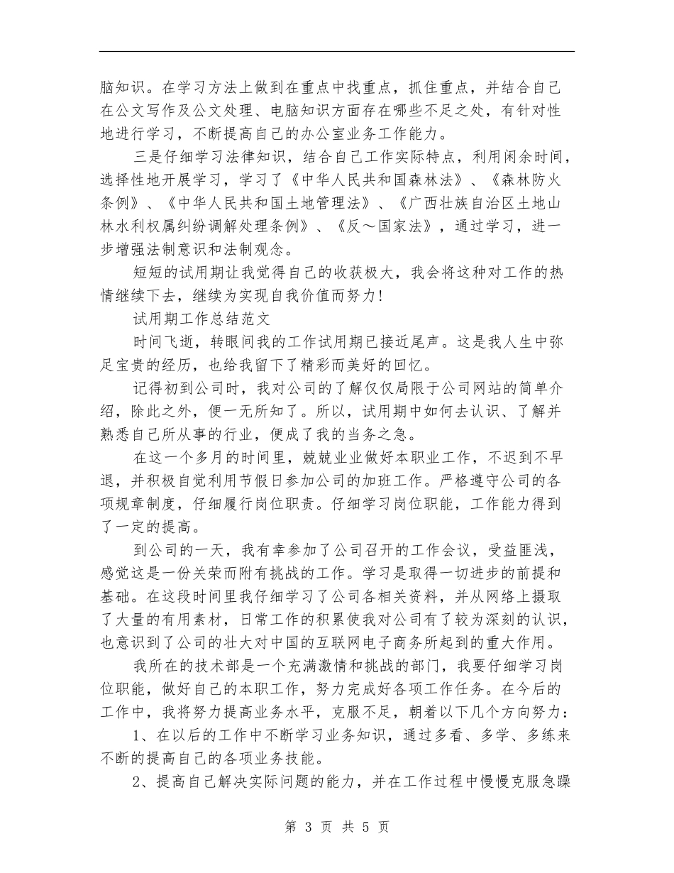 2024年1月会计试用期工作总结范文_第3页