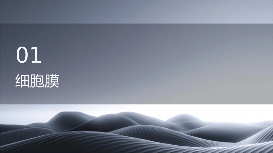 细胞基本功能课件_第3页