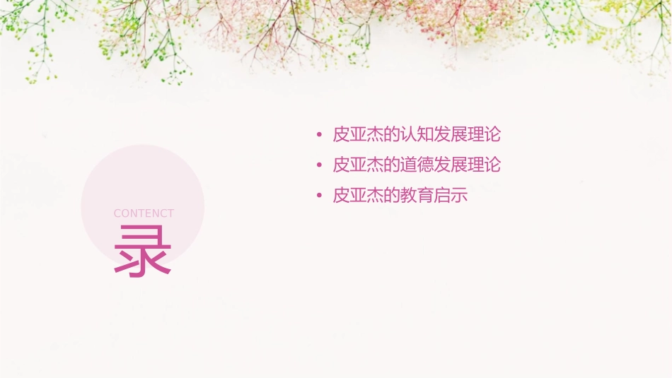 教育心理学皮亚杰课件_第2页