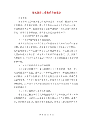 行政监察工作整改自查报告