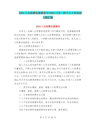 2024三公经费自查报告与2024三支一扶个人工作总结6篇汇编