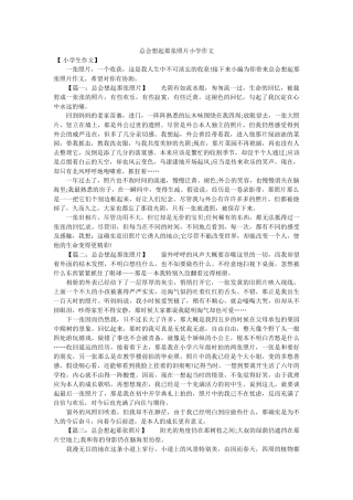 总会想ۥ起那张照片小学作文精选 