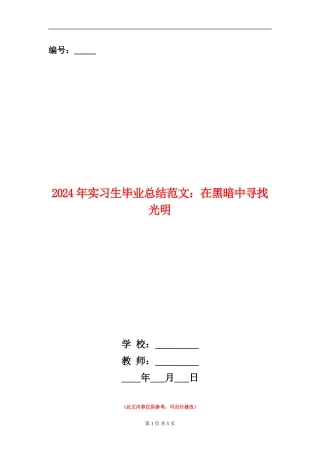 2024年实习生毕业总结范文：在黑暗中寻找光明