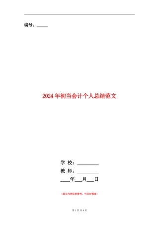 2024年初当会计个人总结范文