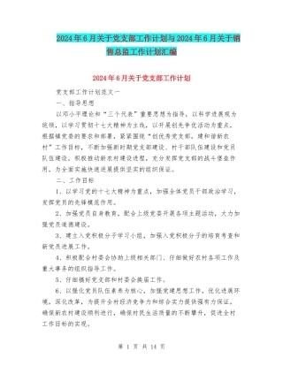 2024年6月关于党支部工作计划与2024年6月关于销售总监工作计划汇编