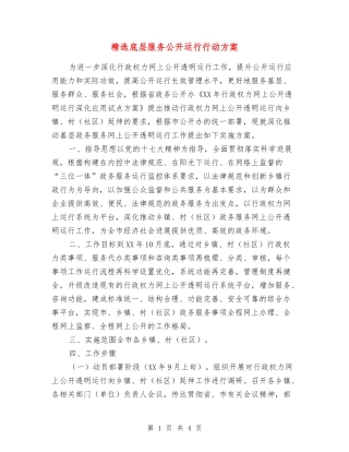 底层服务公开运行行动方案