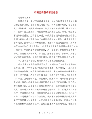 市委访剧整顿情况报告