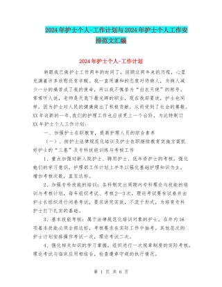 2024年护士个人-工作计划与2024年护士个人工作安排范文汇编