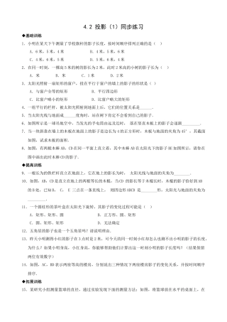 浙教版九年级下42投影1同步练习1 