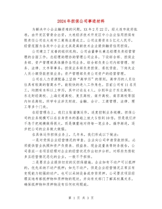 2024年担保公司事迹材料