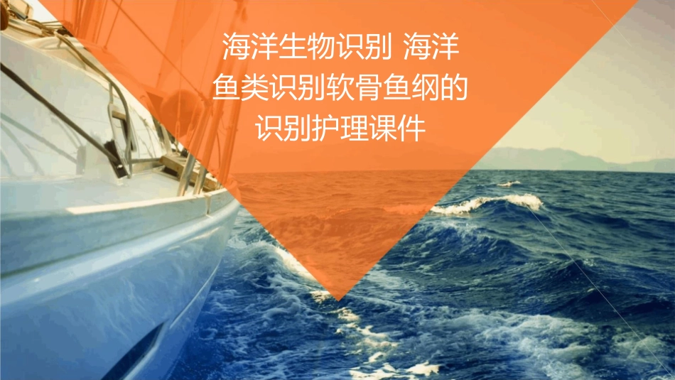 海洋生物识别 海洋鱼类识别软骨鱼纲的识别护理课件_第1页