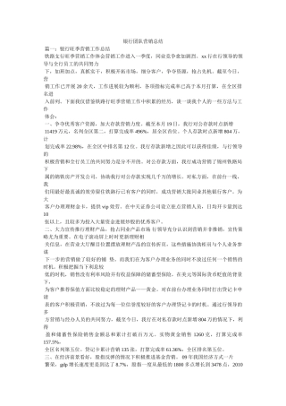银行团队营销总结精选 