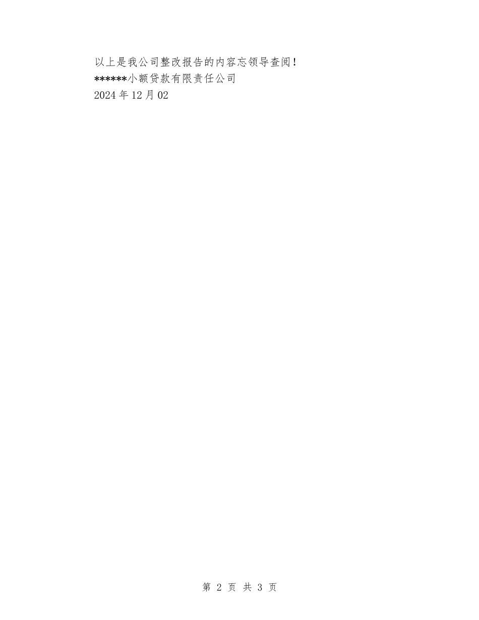 小贷公司整改报告_第2页