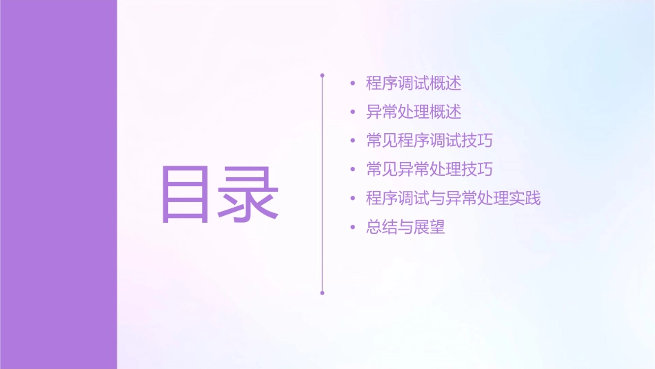 程序调试与异常处理课件_第2页