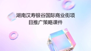 湖南汉寿银谷国际商业街项目推广策略课件