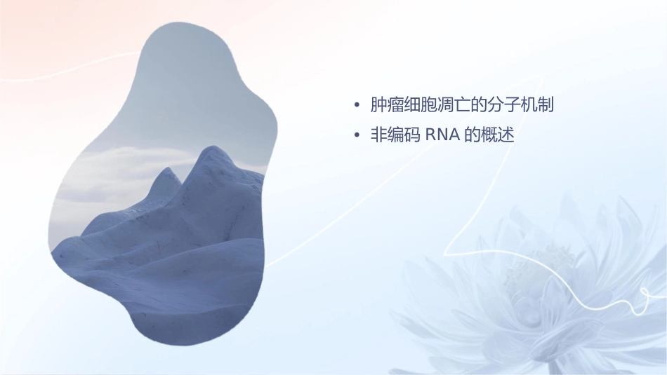 肿瘤细胞凋亡的分子机制与非编码RNA的护理应用_第2页