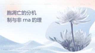 肿瘤细胞凋亡的分子机制与非编码RNA的护理应用