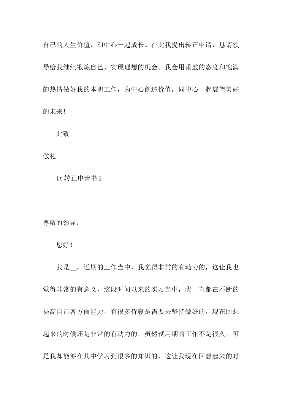 it转正申请书 (3)_第3页