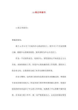 it转正申请书 (3)