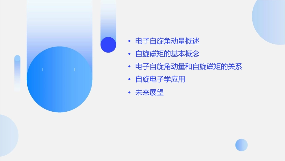 电子自旋角动量和自旋磁矩课件_第2页