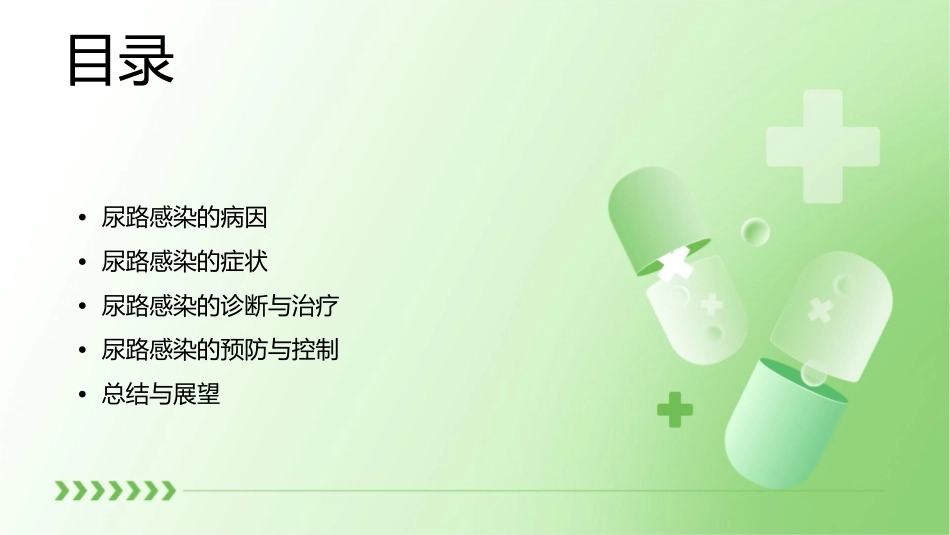 尿路感染课稿课件_第2页