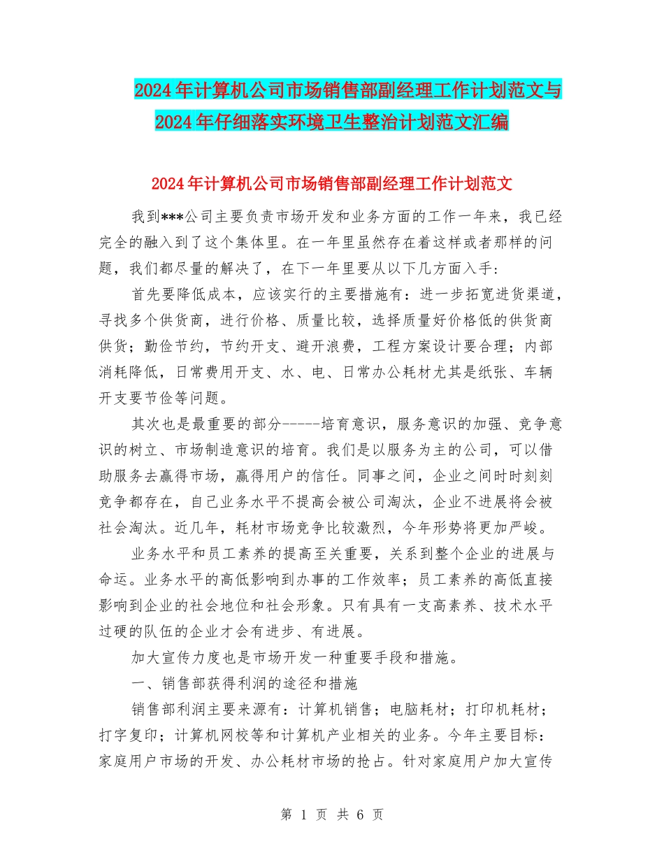 2024年计算机公司市场销售部副经理工作计划范文与2024年认真落实环境卫生整治计划范文汇编_第1页