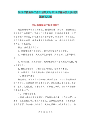 2024年检验科工作计划范文与2024年森林防火安排实施意见汇编