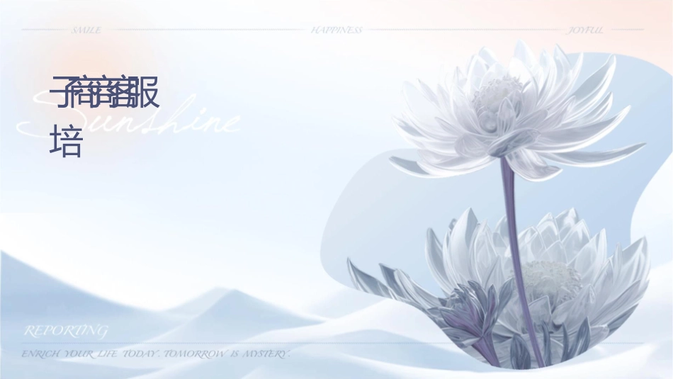 电子商务电商客户服务部门岗前培训课件_第1页