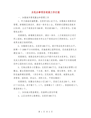 为民办事项目进展工作汇报