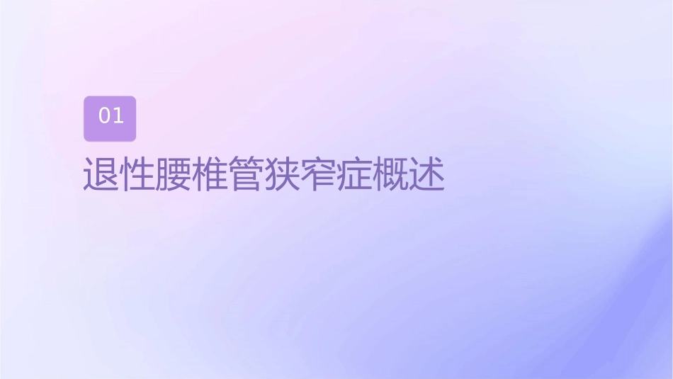 退变性腰椎管狭窄症治疗策略护理课件_第3页