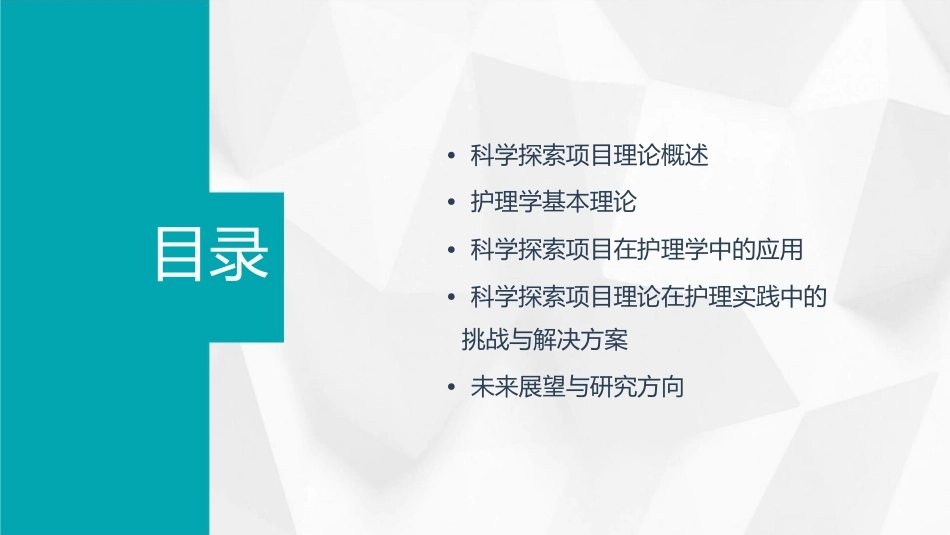 科学探索项目理论护理课件_第2页