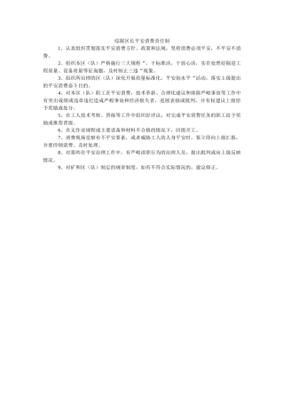 综掘区ۥ长安全生产责任制精选 
