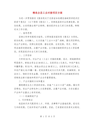 全县工业对接项目方案