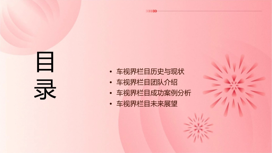 车视界栏目简介课件_第2页
