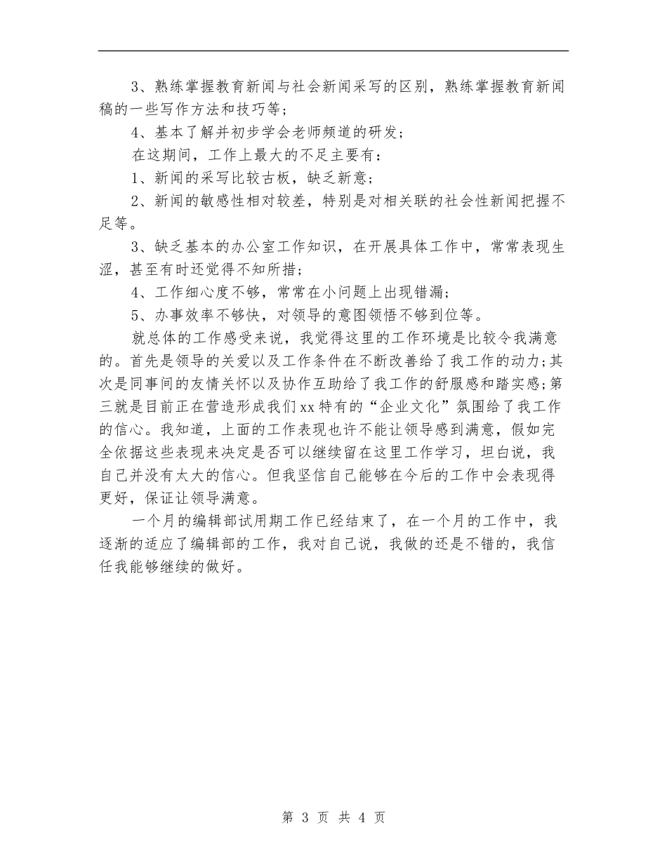 编辑试用期月度工作总结范本_第3页