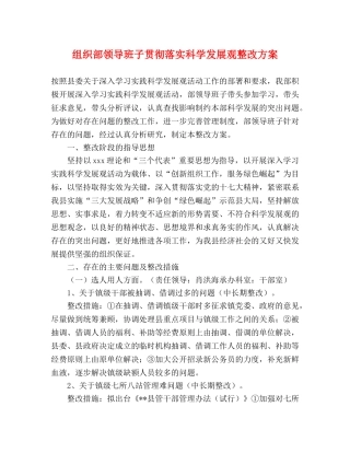 组织部领导班子贯彻落实科学发展观整改方案 