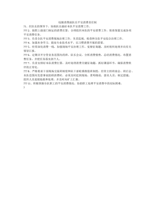 综掘生ۥ产副队长安全生产责任制精选 