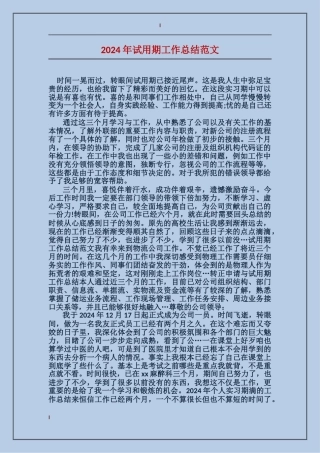 2017年试用期工作总结范文