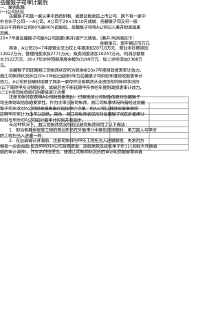 岳麓山公司审计案例 
