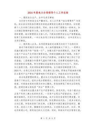 2024年度电力分局领导个人工作总结