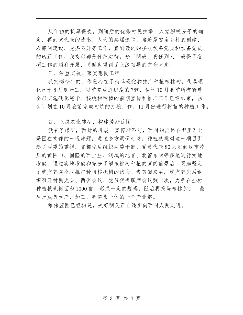 2024村委会工作总结年终报告_第3页