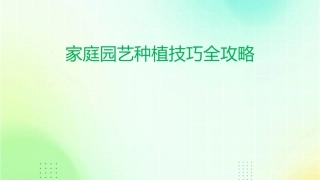 家庭园艺种植技巧全攻略