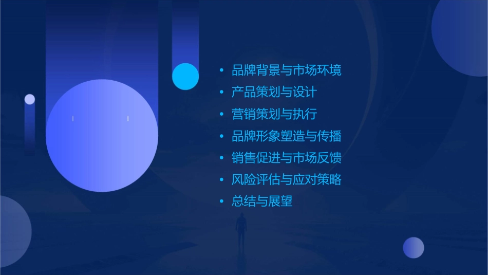 恒美三蛇胆整合策划方案课件_第2页
