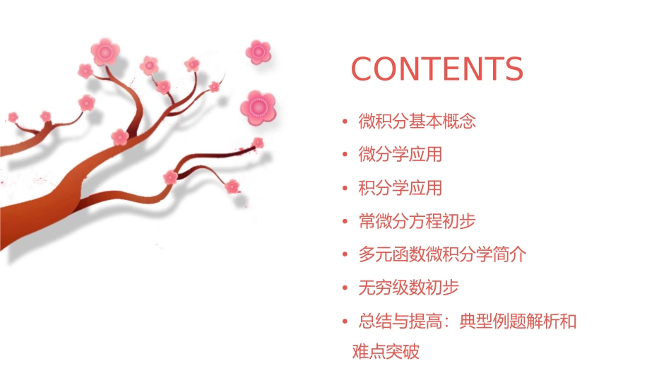 微积分总复习课件_第2页