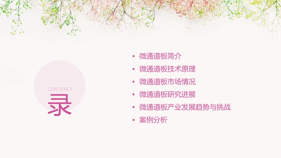 微通道板汇总课件_第2页