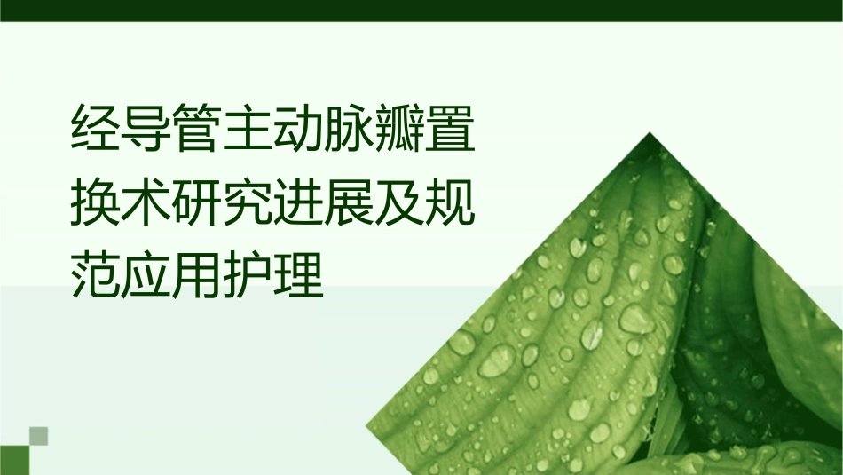 经导管主动脉瓣置换术研究进展及规范应用护理_第1页
