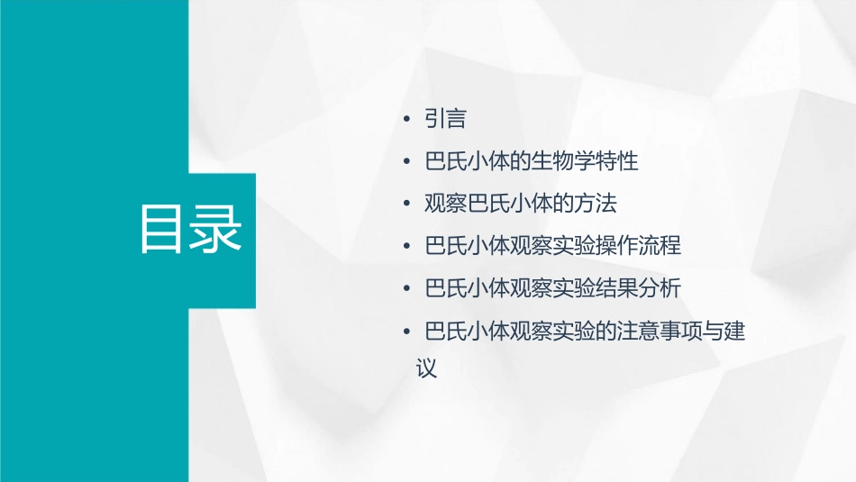 试验七人类巴氏小体的观察课件_第2页