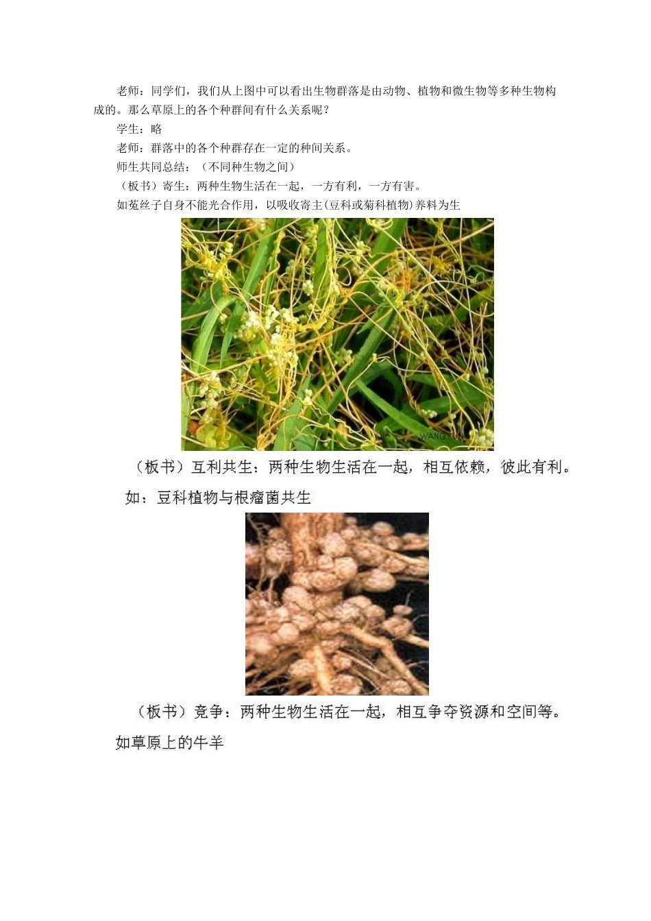 高中生物：2.2.1 群落的基本特征与结构 教案2中图版必修3_第3页