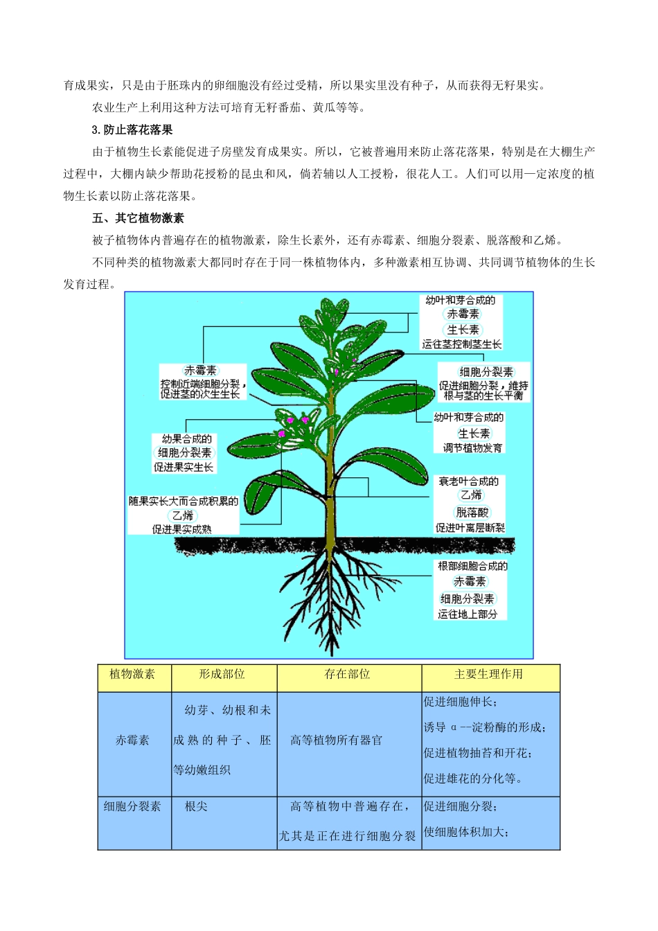 高中生物植物的激素调节教案(第二课时)人教版 必修1_第3页