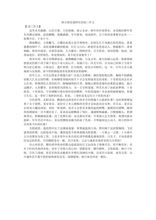 映日荷ۥ花别样红的高三作文精选 